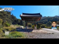 [시민기자단]전남 나주 죽림사