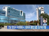 전남 장성서 야생동물 4100마리 불법 밀렵·밀거래 적발
