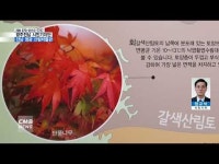 [시민기자단]전남 영광 산림박물관