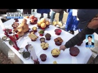 광주 북구 문흥1동, ´제23회 문산당산문화제´ 개최