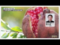 [시민기자단] “나도 프로작가” 시니어사진강좌 탐방