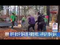 광주 광산구 월곡2동 자율방재단, 나무심기 행사 실시