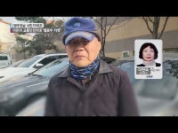 [시민기자단] 어린이 교통안전지대 ‘엘로우 카펫’