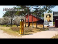 [시민기자단] 봄꽃 향기와 떠나는 역사 여행, 장성 필암서원