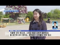 전남 함평군, ´나비천지´ 나비대축제...이색 체험 풍성