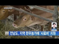 전남도, 지역 한우농가에 ´사료비´ 지원