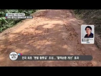 [시민기자단] 영광 물무산 행복숲으로 떠나요