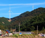 “사람 죽이는 친환경…산 위의 괴물 풍력발전소”