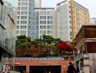 서초구에 부는 훈풍, 서리풀터널로 들어온다