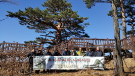 “척박함 이긴 소나무는 우리민족의 삶과 닮았죠”