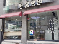 “나이든 반려견 이상행동 땐 노인성치매 의심하세요”
