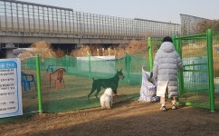 겨울철 반려동물 건강관리 3요소 면역력·운동·보습