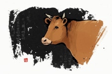 소띠, 순리대로 살자 [오늘의 운세-12/23]