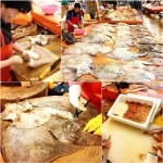 호불호 음식 대명사 홍어 어떻게 드시나요?