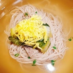 평양냉면 시즌 업!…어느 냉면집으로 갈까?