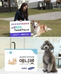 ‘깜깜 병원비’ 낳은 정부 무관심에 반려인 지갑 얇아진다