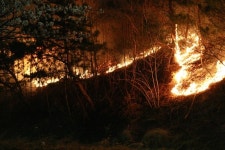 한전 “고성 산불 발화 지점 변압기 아닌 개폐기”