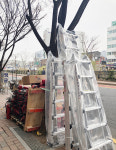 도심 속 가로수의 수난…쓰임새도 다양