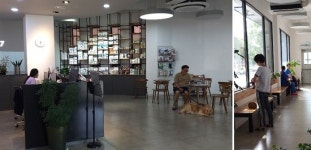 선진국형 병원비청구 시스템 도입에 동물보험시장 화색