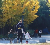 노란 은행잎과 함께 늦가을 만끽하는 시민들