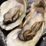 9월 제철 식재료 ‘굴’ 등장…굴요리가 맛있는 식당은?