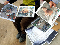 “마른 하늘에 날벼락 맞고도 4년째 손해배상 못 받았다”