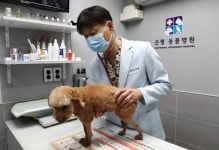 “말 못 하는 동물 돌보는 수의사는 사명감이 제일 중요하죠”