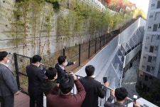 제2의 대장동, 백현동 옹벽 아파트 현장 방문