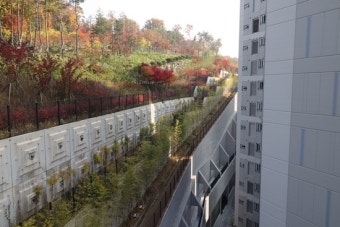 제2의 대장동, 백현동 옹벽 아파트 현장 방문