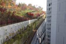 제2의 대장동, 백현동 옹벽 아파트 현장 방문