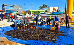 경북, 우수 귀어귀촌인 및 漁울림마을에 선정