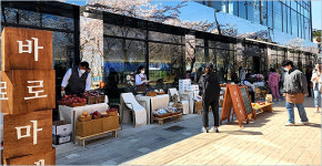 도농 상생 ‘바로마켓 경북점’ 매출 쑥쑥