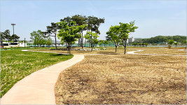 낙동가람 초화단지 꽃과 초목의 물결 출렁