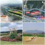 금호강 하중도 와우! 깜짝 대변신