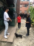 서울 중구, 반려동물 행동교정·의료비용 지원사업 진행