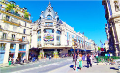 세계로 쑥쑥 뻗어나가는 안동 생강