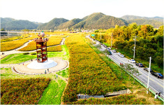 경북 ‘산소카페 청송정원’ 새로운 랜드마크로 급부상