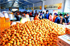 경북, 10월 축제로 가을을 꽉 채우다