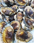 남도지역 맛집들… 서울서도 이름값