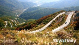 단풍의 바다에 빠져볼까… 영천의 ‘가을 초대장’