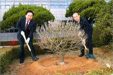 안동시청, 독립 염원 무궁화 ‘안동’ 식수