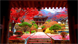 영주, 고즈넉한 아름다움의 대명사