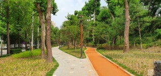 강남구, 양재천 메타세쿼이아길 명품 산책로 조성