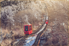 문경 단산모노레일, 한국인이 꼭 가봐야 할 관광지 등극