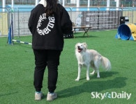 “댕댕아, 봄놀이 산책가자”…   한강 산책길 반려견 쉼터