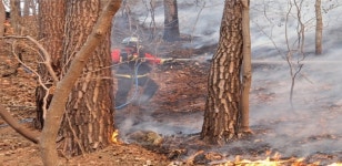 [속보] 당진 면천면 율사리 산불 발생… 헬기 7대 투입해 진화 중