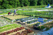 예천, 주말농장 가꾸고 온천욕 즐기세요