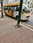 파주시, 운정3지구 마을버스 증차 운행