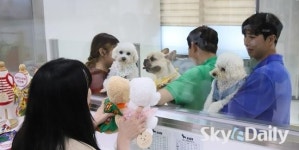 ‘나는 호캉스 즐기고 있을개, 여행 다녀오개’