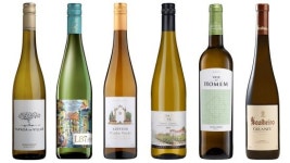 [어승룡의 와인이야기]  비뉴 베르드(Vinho Verde)가 와인 품종인가요?